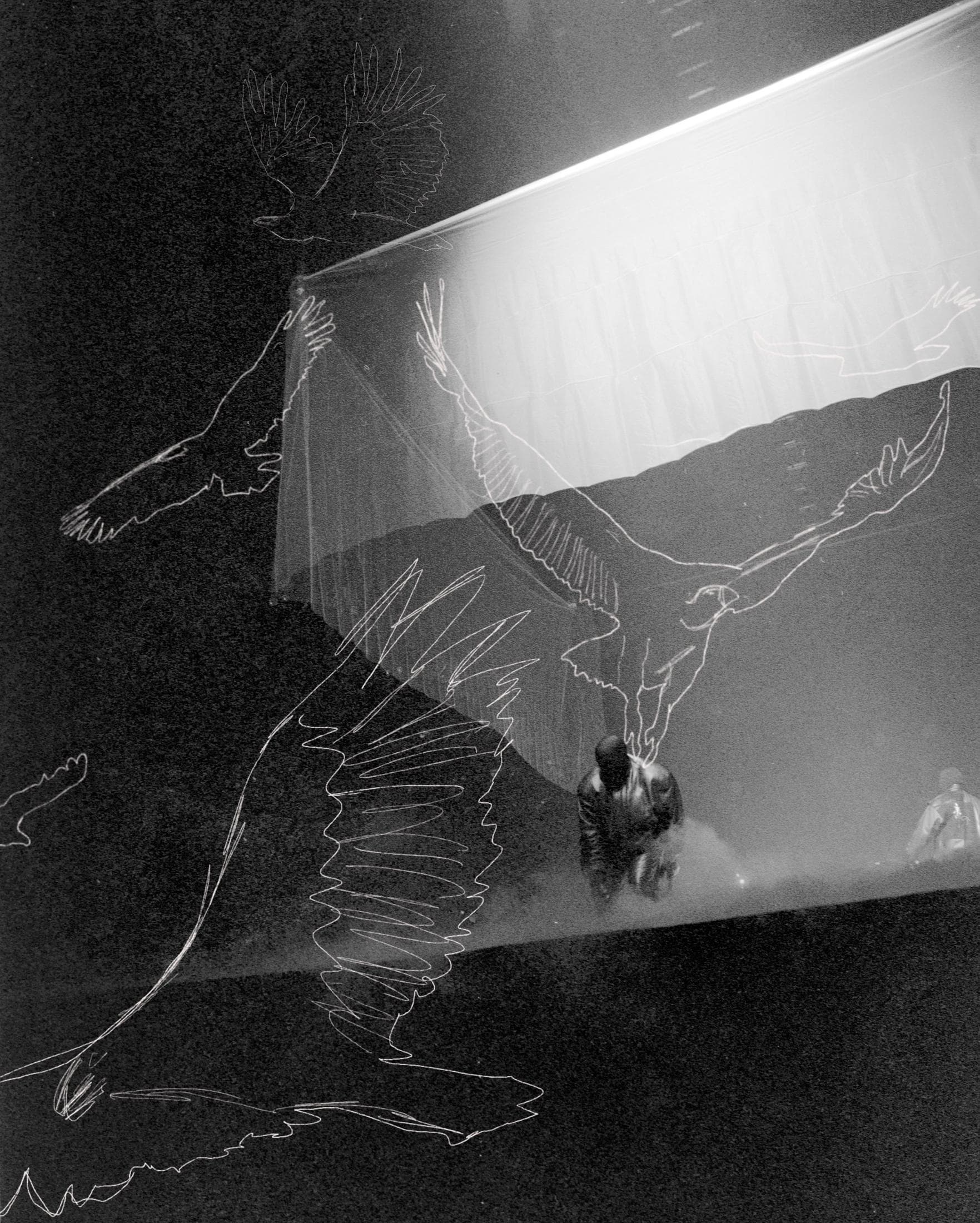 Music, live and backstage, frame 16