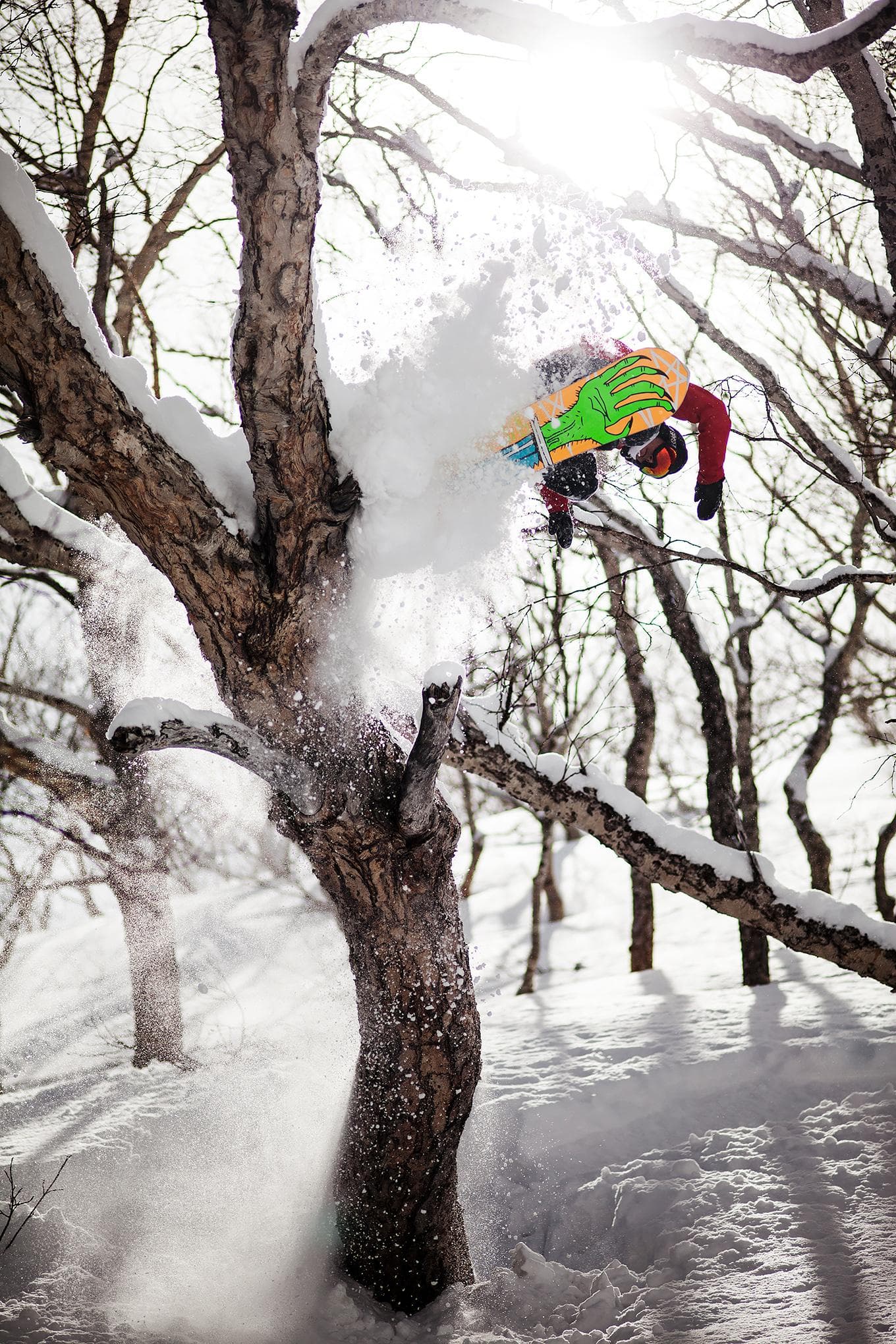 Snowboarding, frame 15
